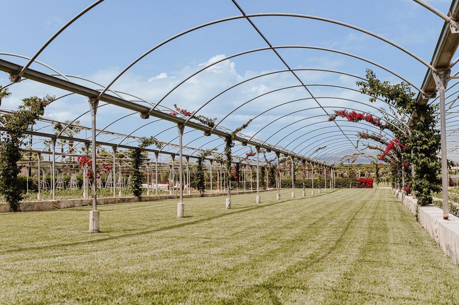 Sa Talaia Blanca Farm stay *
